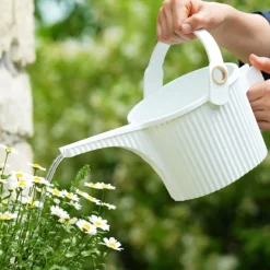 Beetle Vandkande - Hvid - SMALL 1,5 liter