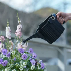 Beetle Vandkande - Sort - SMALL 1,5 liter