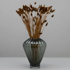 Brune Phalaris Blomster – Tørrede Dekorative Græsstrå