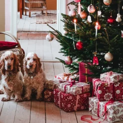 Bungalow julekugler i æske Ø8. Seraphim Scarlett. Pk med 4 stk.