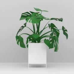 Como Planteskjuler - LARGE- Hvid