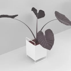 Como Planteskjuler - LARGE- Hvid