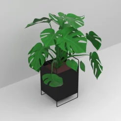 Como Planteskjuler - LARGE - Sort