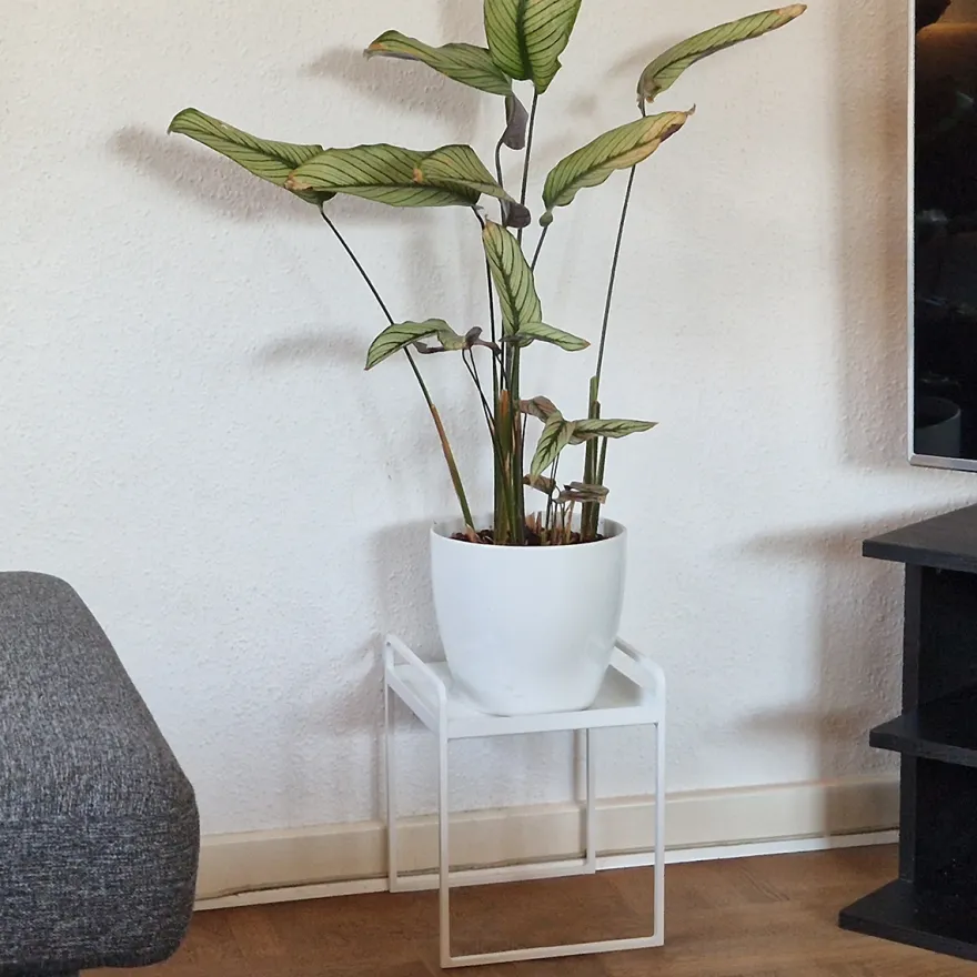 Como Plantestander - Single - Hvid