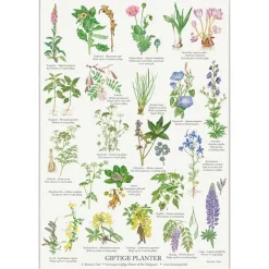 Koustrup & Co Plakat Giftige Planter