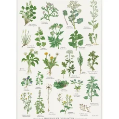 Koustrup & Co Plakat - Spiselige Vilde Planter
