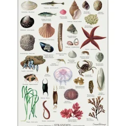 Koustrup & Co plakat - Stranden