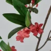 Kunstig blomst fra Bungalow - Ixora Scarlet