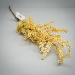 Kunstig blomst fra Bungalow - Oat branch, creme