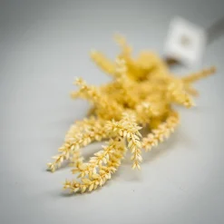 Kunstig blomst fra Bungalow - Oat branch, creme