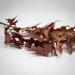 Kunstig Blomst - Kvist med efterårsblade, 50 cm