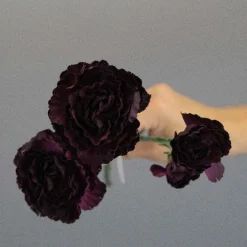 Kunstig Blomst - Nellike, 65 cm. VINRØD