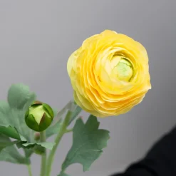 Kunstig Blomst - Ranunkel, 50 cm. GUL