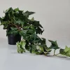 Kunstig Hængende Hedera - 60 cm.