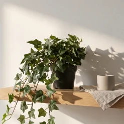 Kunstig Hængende Hedera - 60 cm.