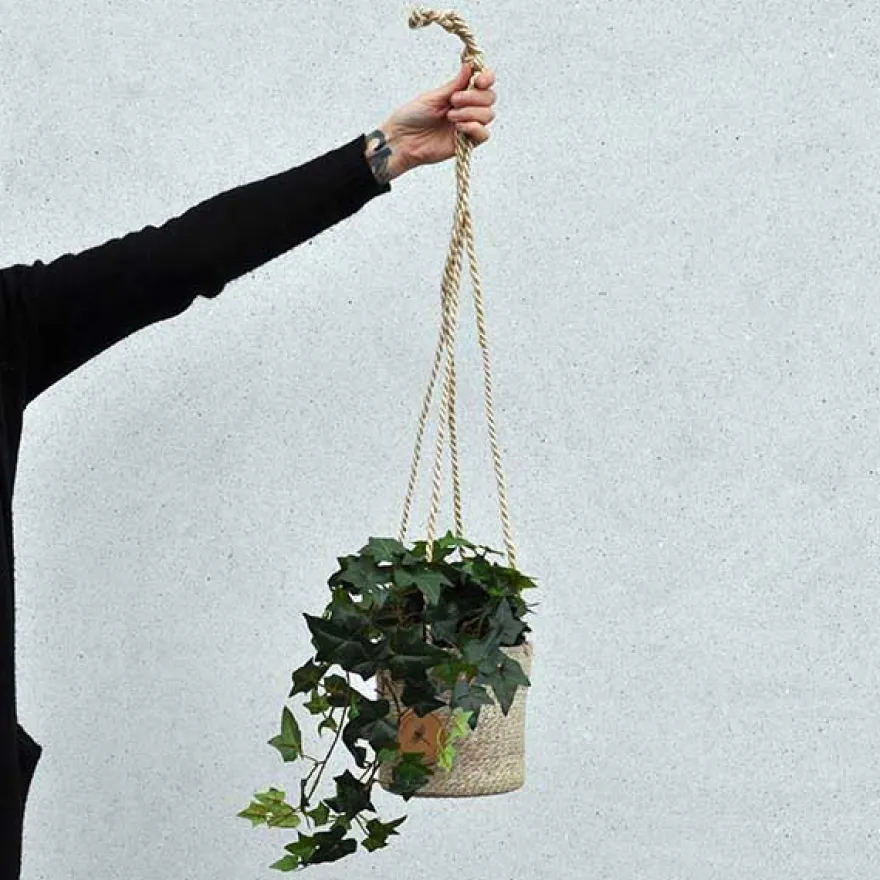 Kunstig Hængende Hedera - 60 cm.