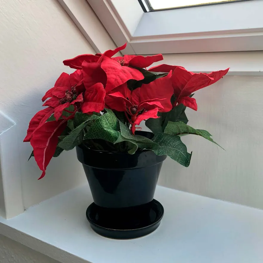 Kunstig julestjerne, rød 23 cm.