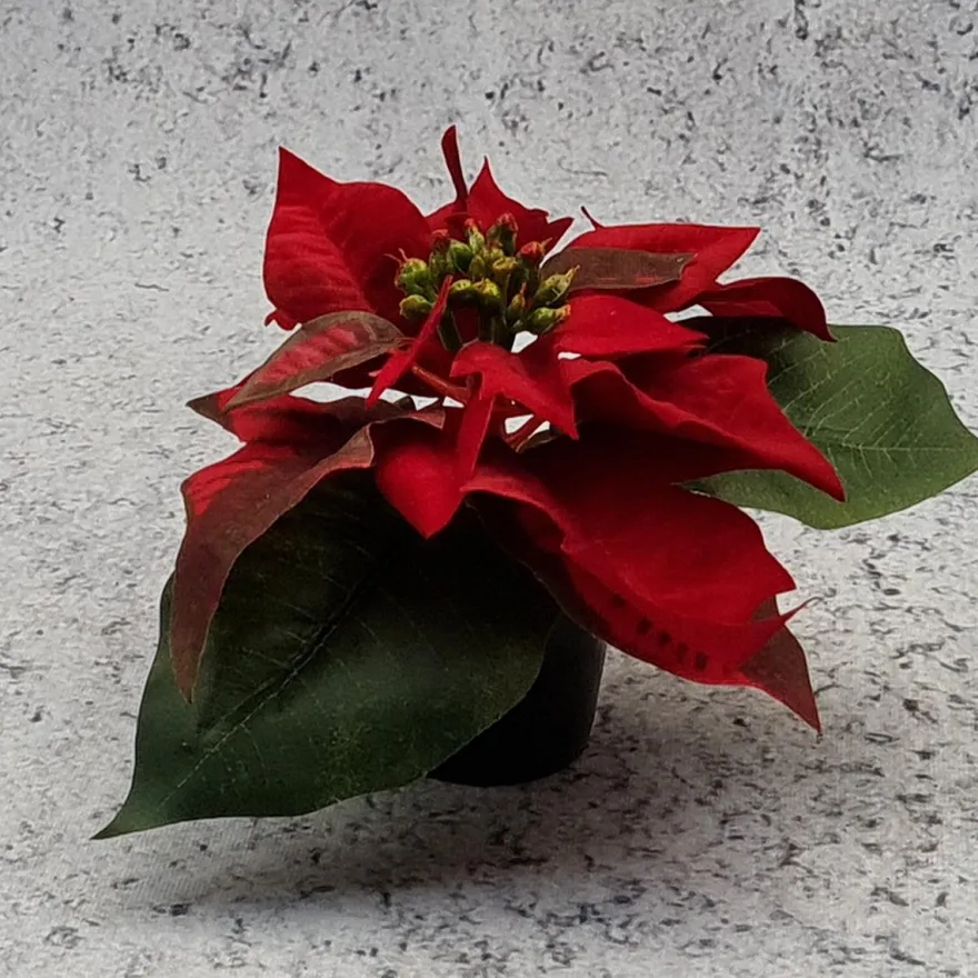 Kunstig mini julestjerne, rød 10 cm.