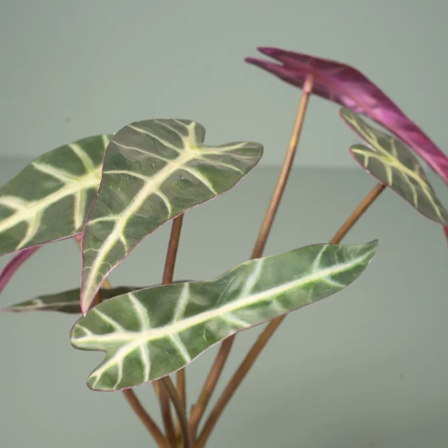 Kunstig plante - Alocasia 30 cm. - Mønstret