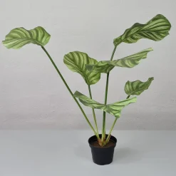 Kunstig plante - Calathea 55 cm. grøn