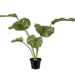 Kunstig plante - Calathea 55 cm. grøn