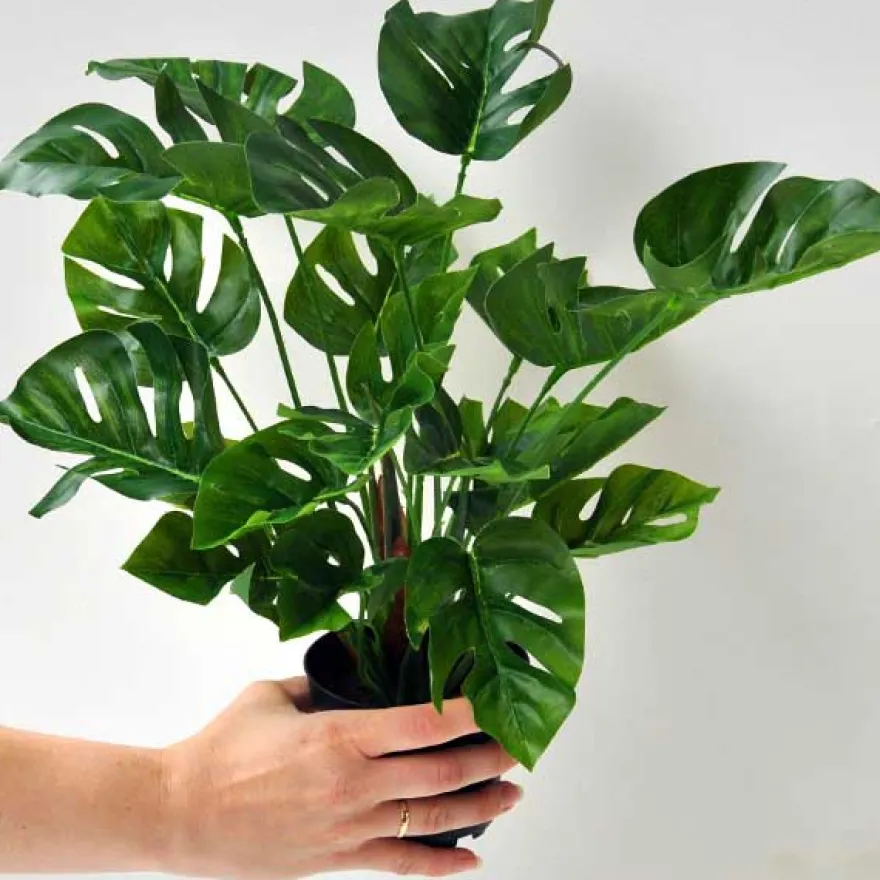 Kunstig plante - 30 cm. Monstera