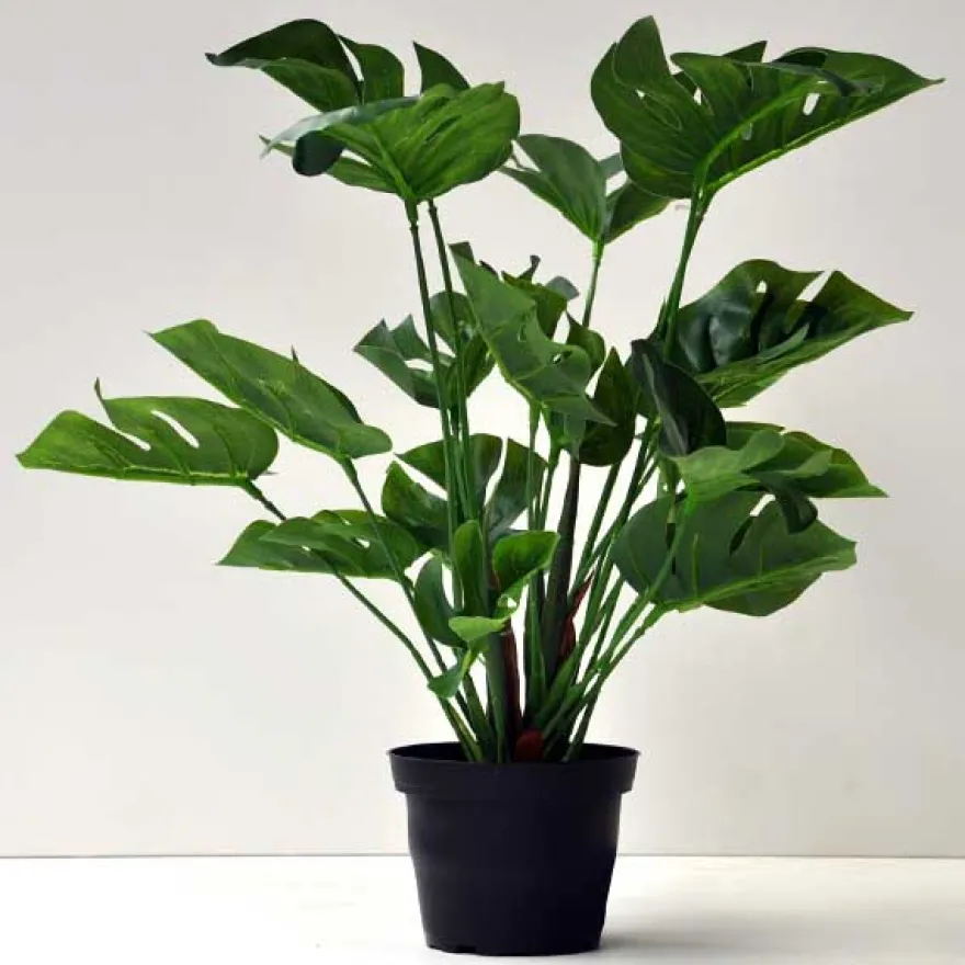 Kunstig plante - 30 cm. Monstera