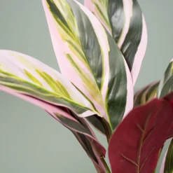 Kunstig Plante - Cordyline, Grøn/Rød, 38 cm
