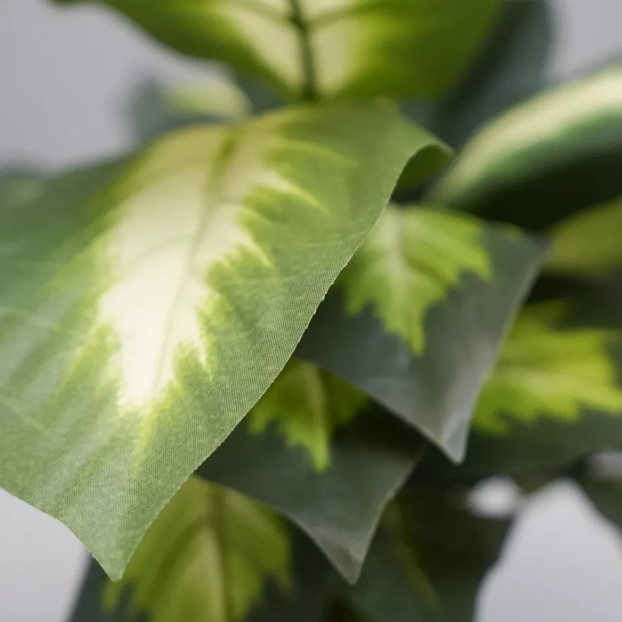 Kunstig Plante - Dieffenbachia, Grøn, 40 cm