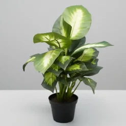 Kunstig Plante - Dieffenbachia, Grøn, 40 cm