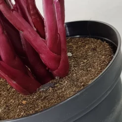 Kunstig Plante - Maranta 48 cm
