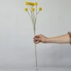 Kunstig plante - Trommestikker 60 cm. gul