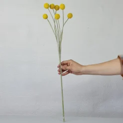 Kunstig plante - Trommestikker 60 cm. gul