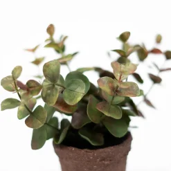 Lille kunstig eucalyptus plante i minipotte - Grøn