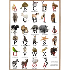Plakat - ABC plakat med dyr