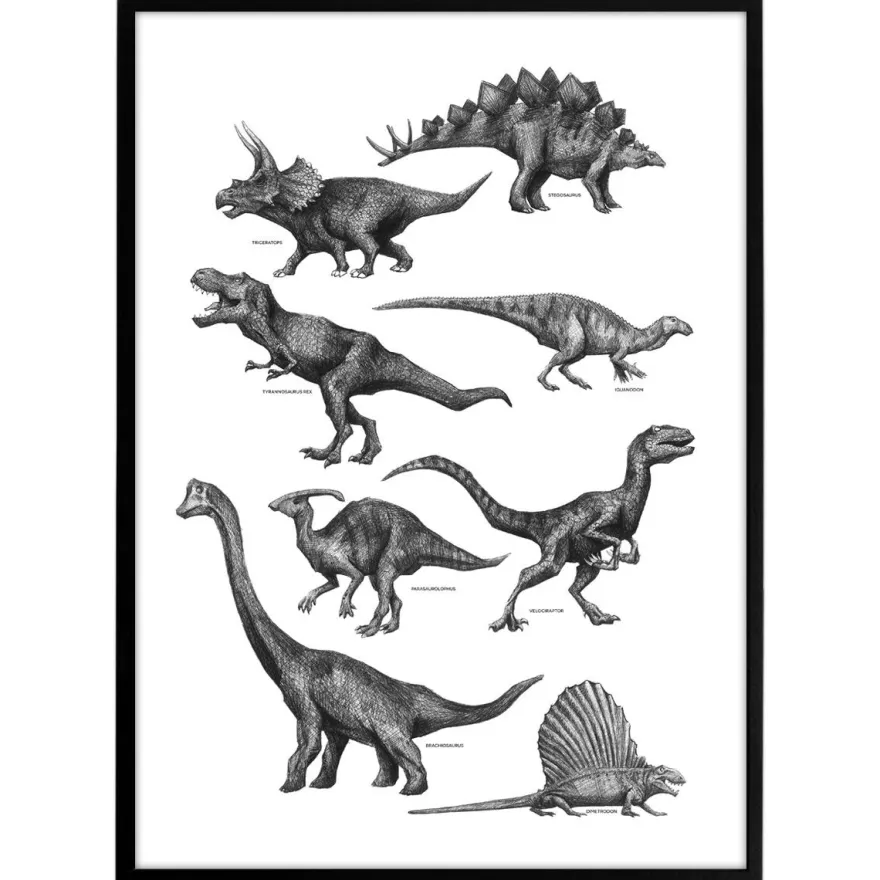 Plakat - Dinosaurer, sort/hvid