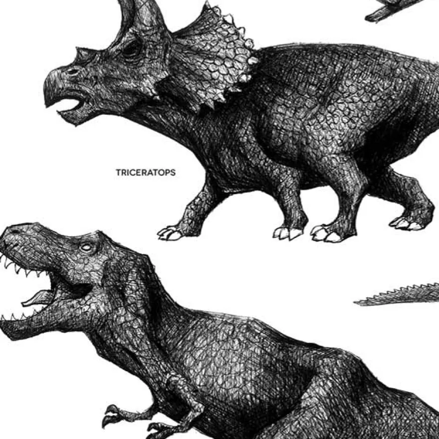 Plakat - Dinosaurer, sort/hvid