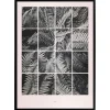Plakat - Fern puzzle