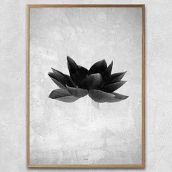 Plakat - Greyish flower
