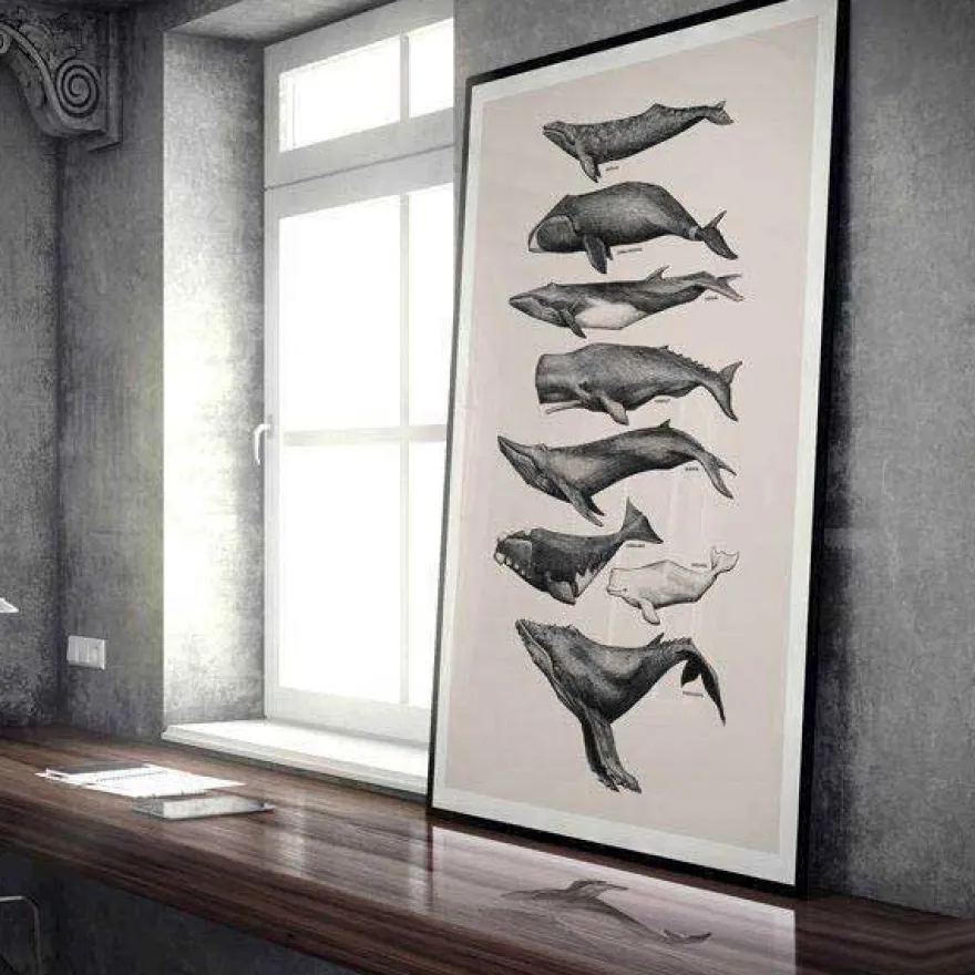 Plakat - Hvaler, rosa