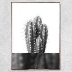 Plakat - Kaktus no.1