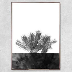 Plakat - Kaktus no.2