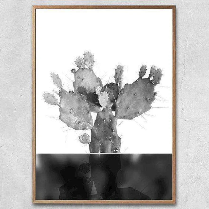 Plakat - Kaktus no.3