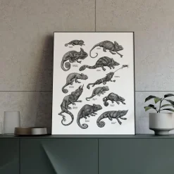 Plakat - Kamæleoner, sort/hvid