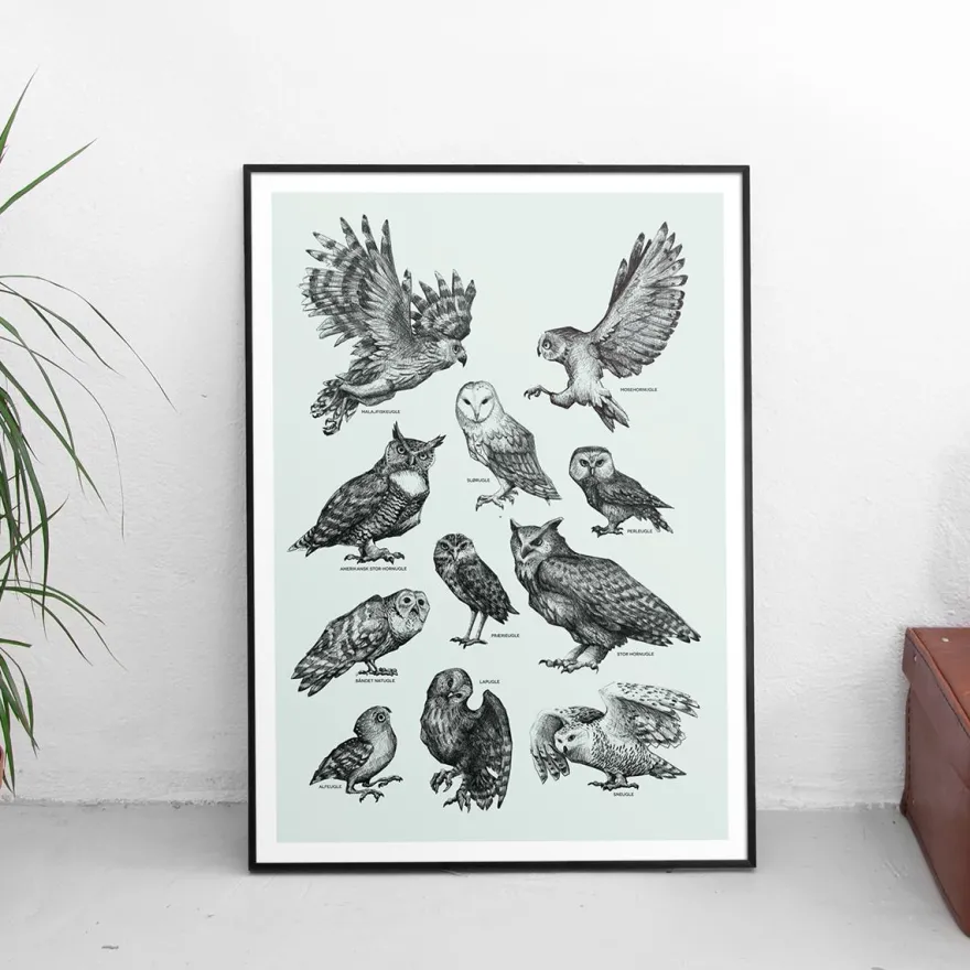 Plakat - Ugler, grøn