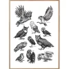 Plakat - Ugler, sort/hvid