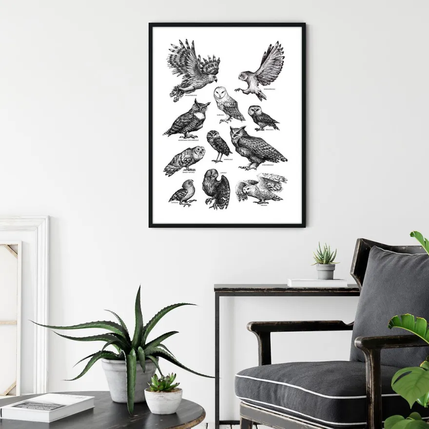 Plakat - Ugler, sort/hvid