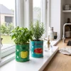 Rex London Metaldåser - Paprika & Peber Medium. Sæt med 2 stk