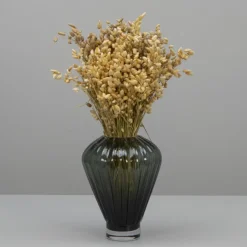 Tørrede Blomster - Briza Maxima, Natur
