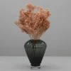 Tørrede Blomster - Broom Bloom, Powder Pink